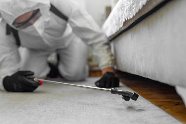 Professional Bed Bug Control technician working in Palmhurst, TX